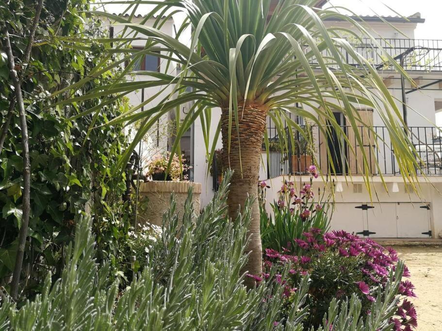 Вилла Casa La Higuera Чулилья Экстерьер фото